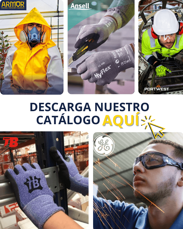 Descargar catálogo